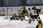 Ligue Magnus : 38me journe : Rouen vs Bordeaux