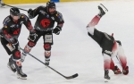 Ligue Magnus : 42me journe : Amiens  vs Mulhouse