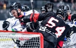 Ligue Magnus : 43me journe : Bordeaux vs Gap 
