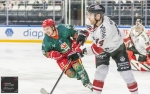 Ligue Magnus : 44me journe : Cergy-Pontoise vs Bordeaux