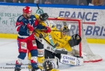 Ligue Magnus : finale match 5 : Grenoble  vs Rouen