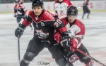 Ligue Magnus : 8me journe : Bordeaux vs Brianon 