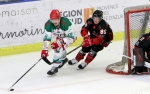 Ligue Magnus : 8me journe : Nice vs Anglet