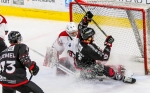 Ligue Magnus : 18me journe : Amiens  vs Brianon 