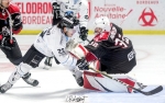 Ligue Magnus : 25me journe : Marseille vs Bordeaux