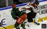 Ligue Magnus : 36me journe : Cergy-Pontoise vs Bordeaux