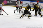 Ligue Magnus : 35me journe : Rouen vs Anglet