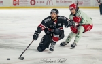 Ligue Magnus : 42me journe : Bordeaux vs Cergy-Pontoise
