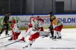 Ligue Magnus  : 5me journe : Rouen vs Cergy-Pontoise