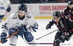 Ligue Magnus  : 7me journe : Bordeaux vs Gap 