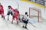 Ligue Magnus  : 9me journe : Grenoble  vs Nice