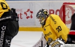 Ligue Magnus  : 10me journe : Anglet vs Rouen