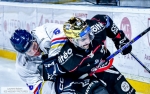 Ligue Magnus  : 24me journe : Bordeaux vs Nice