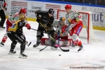 Ligue Magnus  : 11me journe : Rouen vs Grenoble 