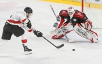 Ligue Magnus  : 16me journe : Amiens  vs Chamonix 