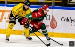 Ligue Magnus  : 18me journe : Cergy-Pontoise vs Rouen