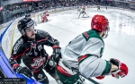 Ligue Magnus  : 31�me journ�e : Bordeaux vs Anglet