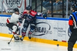 Ligue Magnus  : 31�me journ�e : Angers  vs Chamonix 