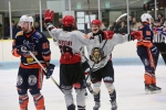 Grizzlys plus m�rs, Sangliers valeureux