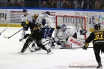 Ligue Magnus  : 41�me journ�e : Rouen vs Gap 