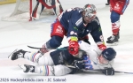 Ligue Magnus  : 42�me journ�e : Grenoble  vs Nice