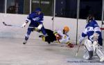 D2 : 1re journe - B : Paris (FV) vs Viry Hockey 91