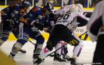 Ligue Magnus : 13me journe : Dijon  vs Epinal 