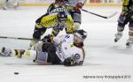 Ligue Magnus : 13me journe : Rouen vs Morzine-Avoriaz