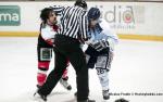 Ligue Magnus : 15me journe : Brianon  vs Angers 