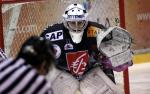 Ligue Magnus : 19me journe : Amiens  vs Dijon 