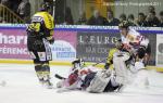Ligue Magnus : 26me journe : Rouen vs Amiens 