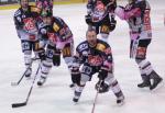 Play-off Ligue Magnus : 1/4 de finale, match 4 : Amiens  vs Brianon 