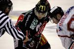 Ligue Magnus, 8me journe : Amiens  vs Morzine-Avoriaz