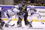 Ligue Magnus, 8me journe : Rouen vs Grenoble 