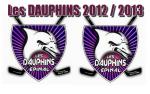 Les Dauphins d'Epinal 2012-2013