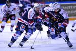 Ligue Magnus : 16me journe  : Grenoble  vs Mulhouse