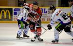 Ligue Magnus : 24me journe  : Mulhouse vs Caen 
