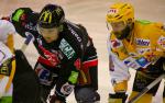 LM Playoffs : 1er tour, match 2 : Amiens  vs Strasbourg 