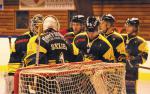 D2 : 2me journe - B : Roanne vs Strasbourg II