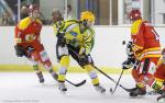D3 : journe du 30/11/2013 : Viry Hockey 91 vs Orlans