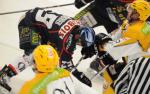 Ligue Magnus : 14me journe : Caen  vs Strasbourg 