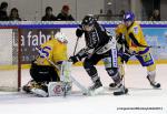 Ligue Magnus : 23me journe : Rouen vs Dijon 