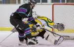D3 : journe du 01/02/2014 : Viry Hockey 91 vs Dammarie-les-Lys