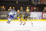 LM playoff 1er tour, match 3 : Strasbourg  vs Villard-de-Lans