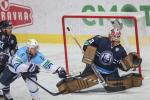 KHL : Pas d'hibernation pour les Ours