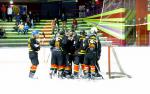D3 : journe du 22/11/2014 : Besanon vs Viry Hockey 91
