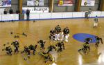 CDF Roller : Incroyables Griffons !