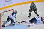 KHL : Une faim d'ours