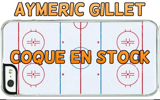 Photo hockey Aymeric Gillet : Coque en stock - Division 1 : Lyon (Les Lions) Photo hockey Aymeric Gillet : Coque en stock - Division 1 : Lyon (Les Lions)