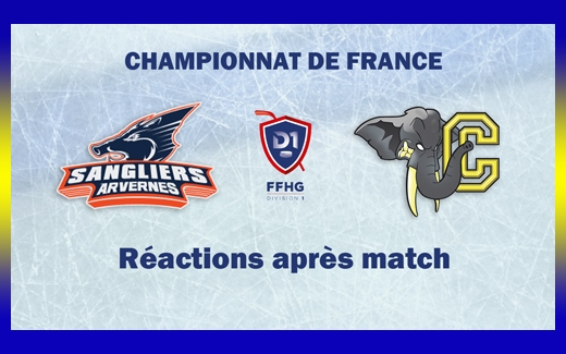 Photo hockey D1 - Clermont vs Chambry : Ractions aprs match  - Division 1